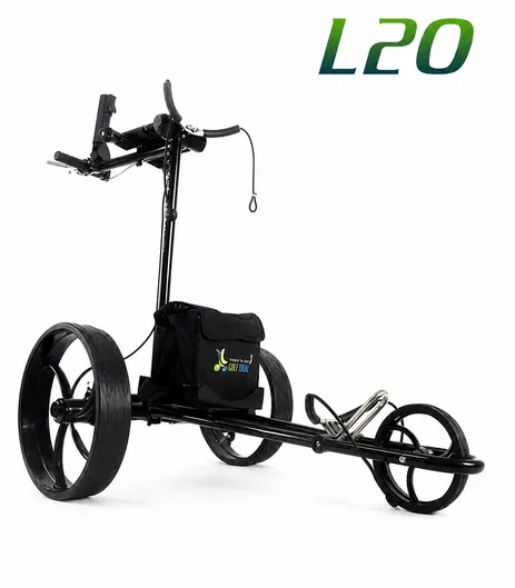R99L20