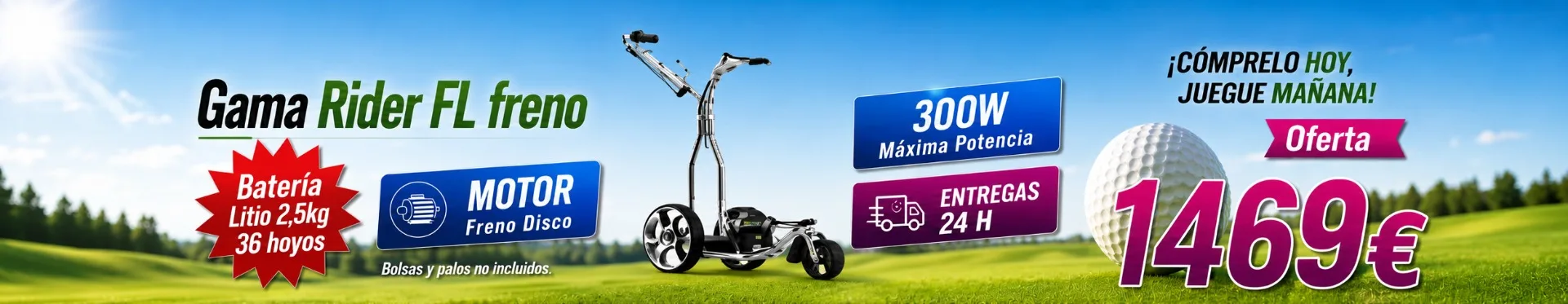Oferta del carro de golf eléctrico FL Litio