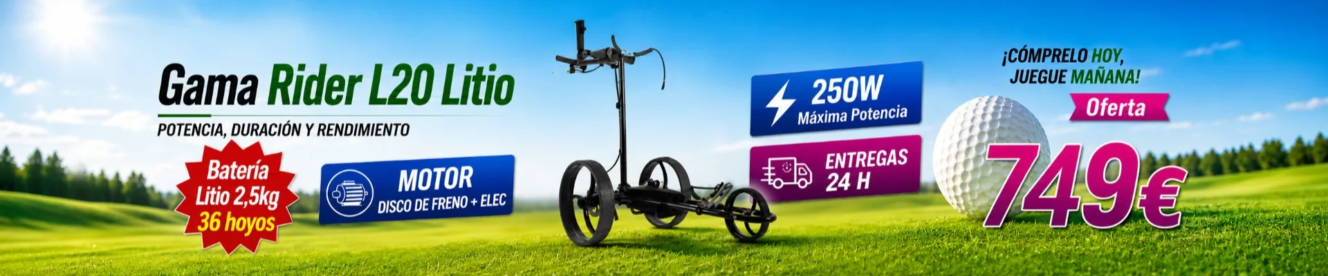 Oferta del carro de golf eléctrico R99 L20T